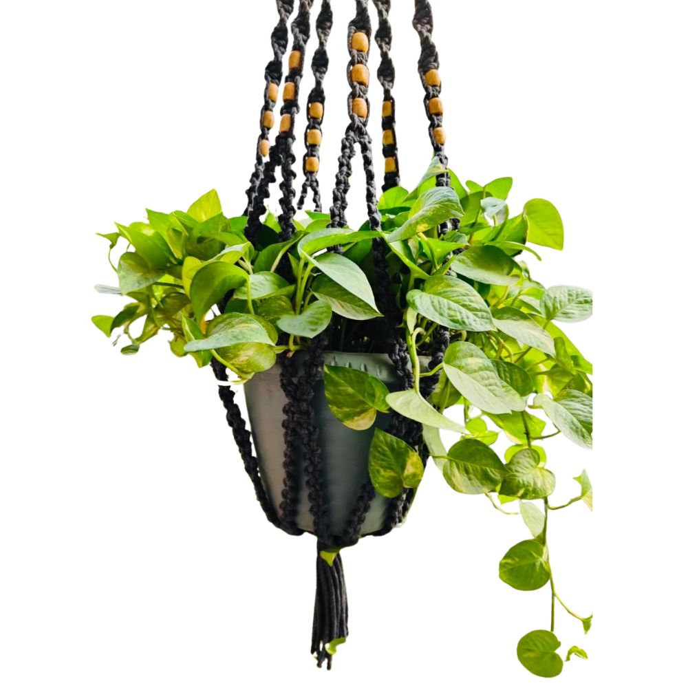Decorative Rope Plant Pot Hanger